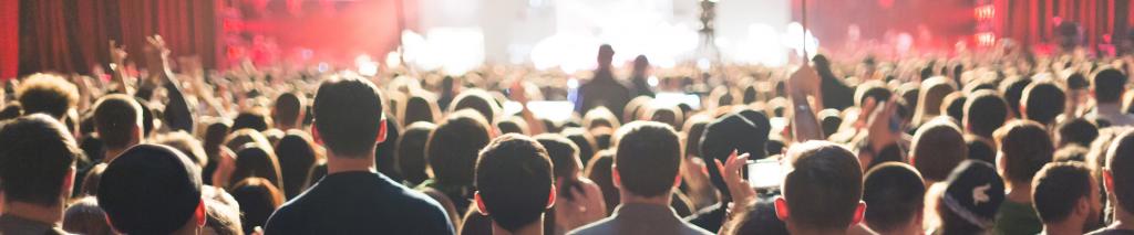 back of heads looking at the stage at a festival